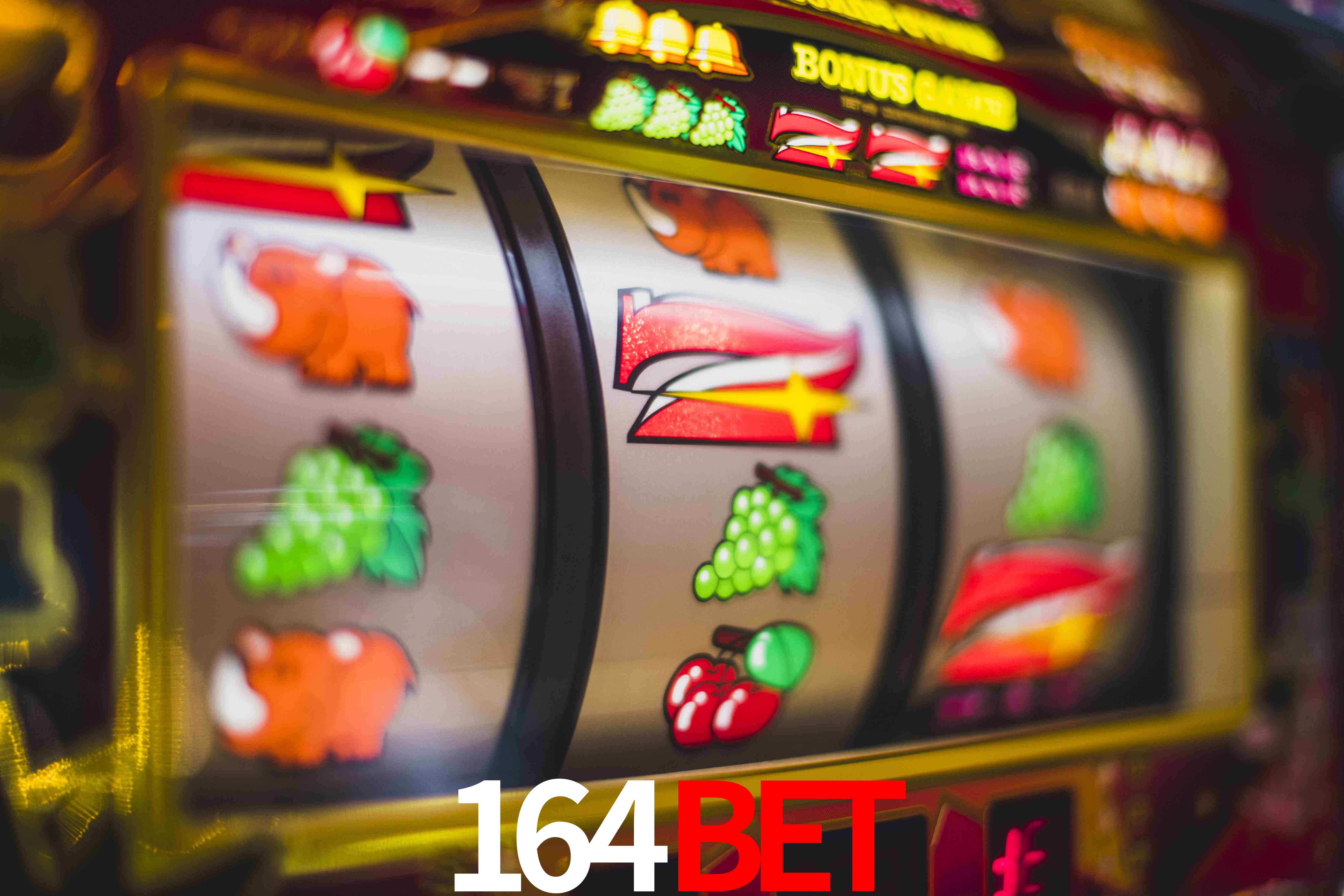 VIP Casino 164bet